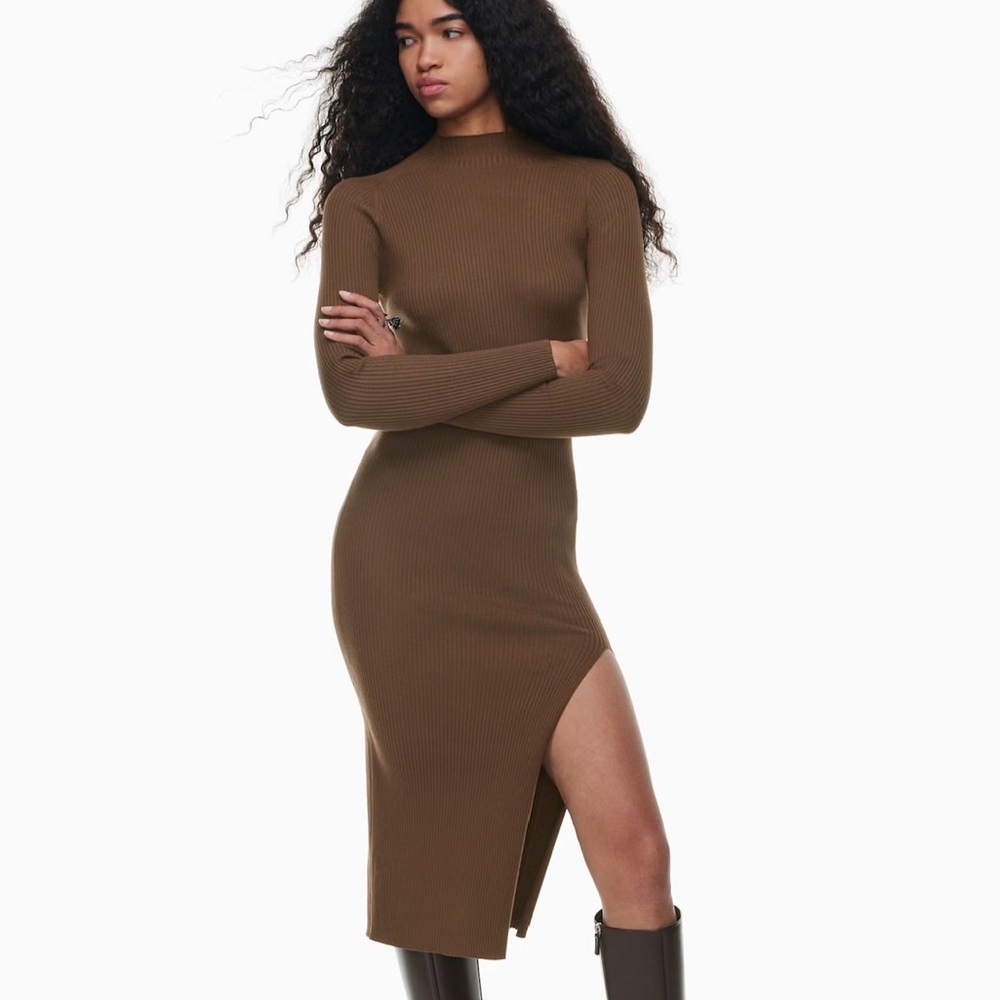 Aritzia Wilfred Alchemy Dress